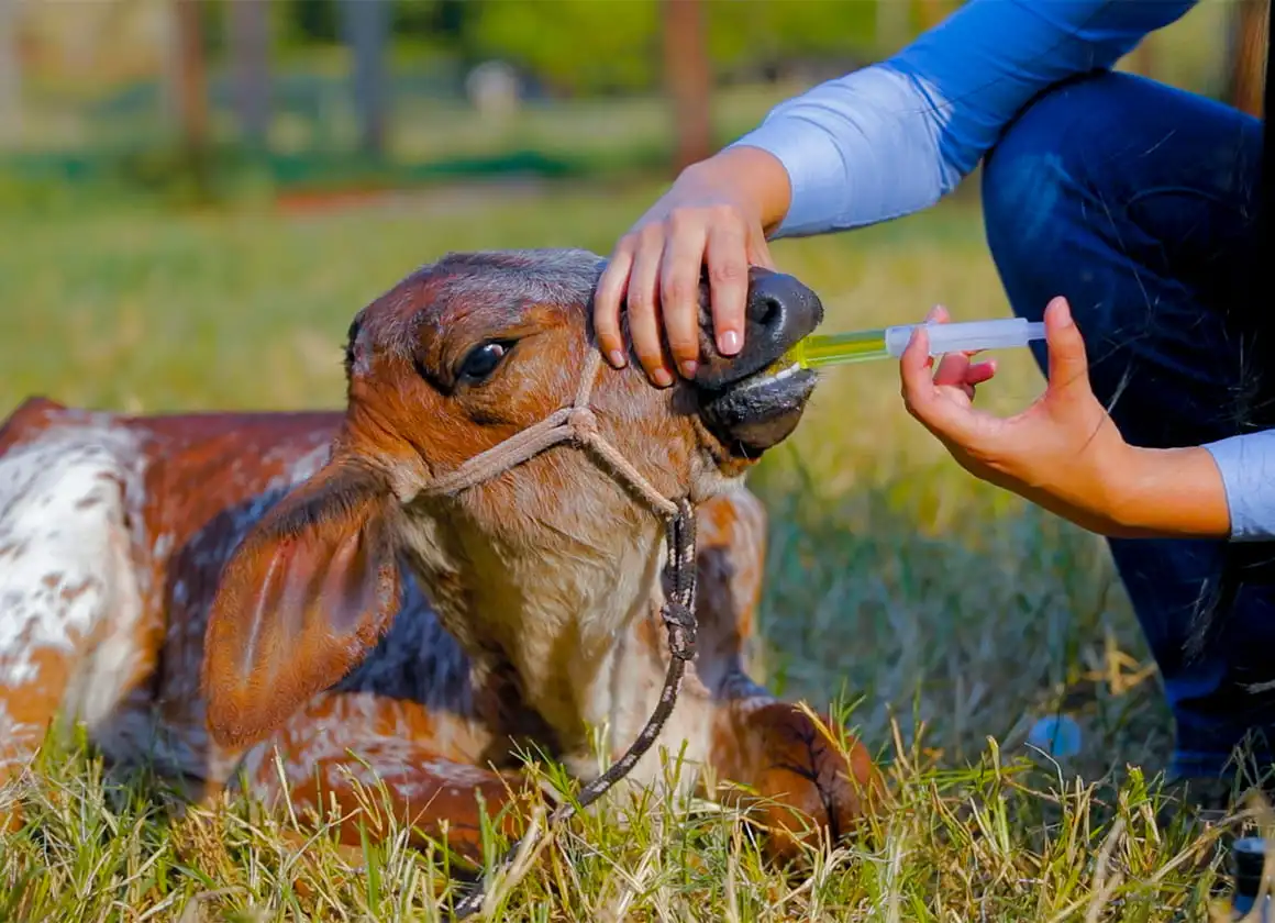 Aqui seu ganho é REAL