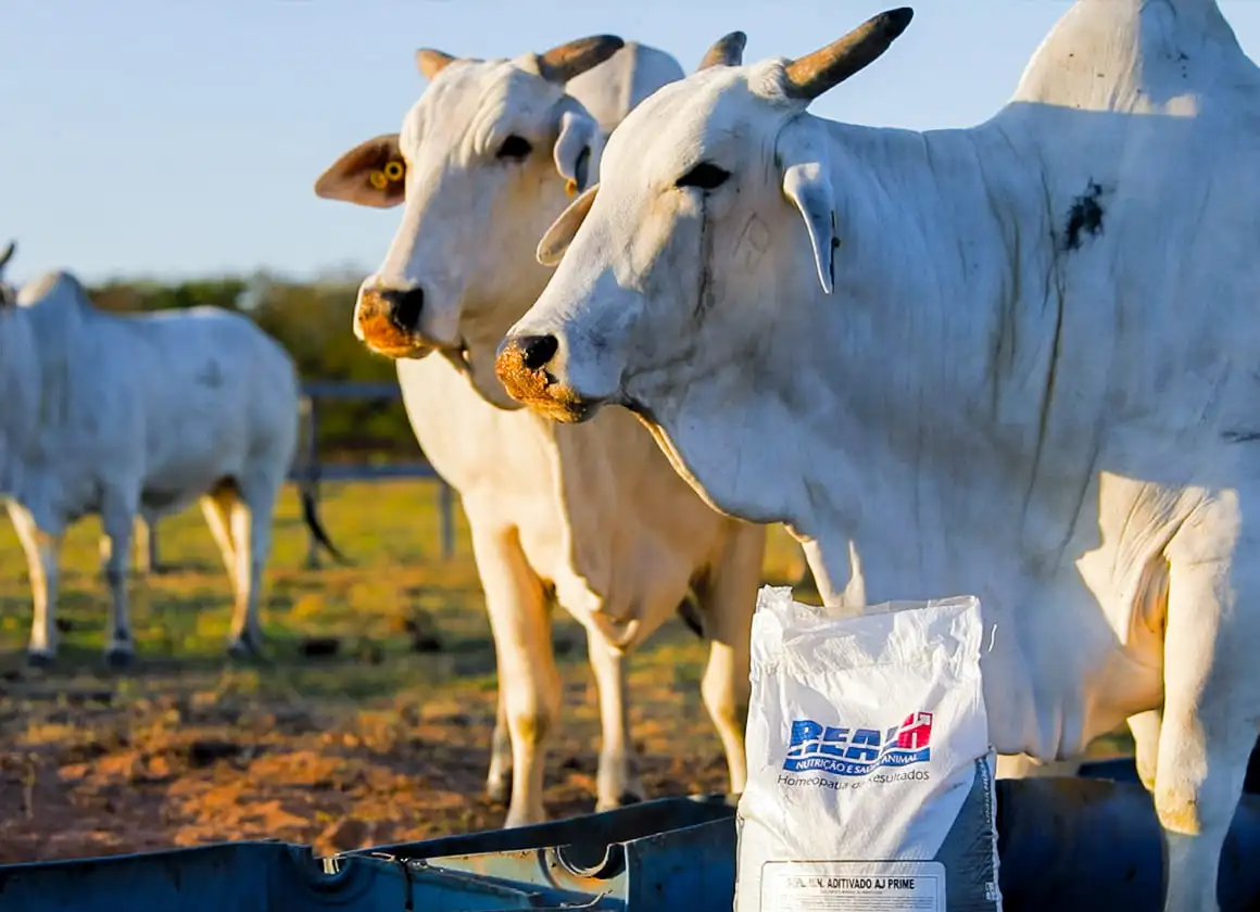 Seu resultado é o nosso compromisso